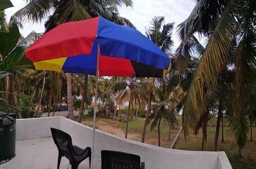 Blue Birds Homestay