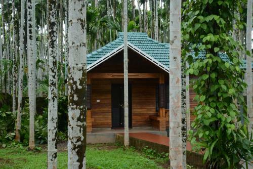 Hotel Yamunatheeram
