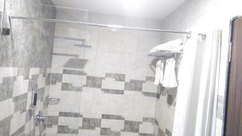 Hotel Amrapali Residency