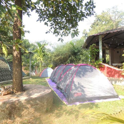 Dandeli - Jungle Nest