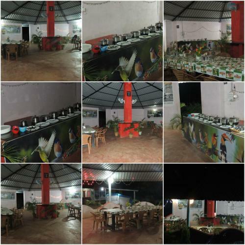Dandeli - Jungle Nest