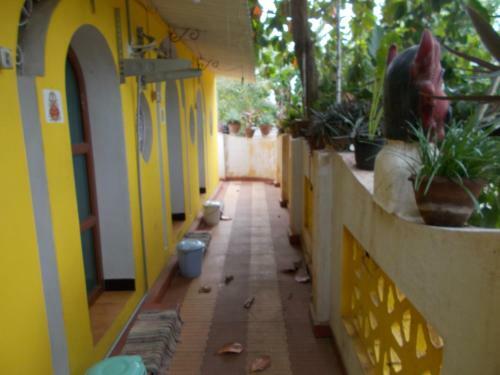 Hostal Orly Cafe And Guest House