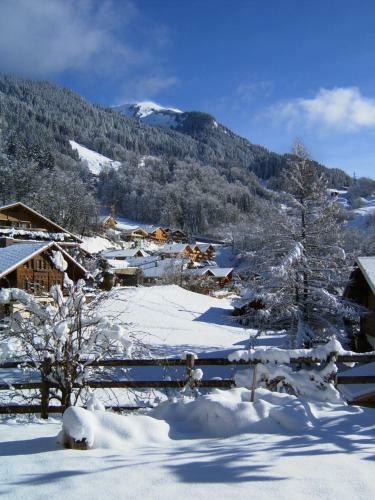 Bed & Breakfast Pension Chalet Berkana