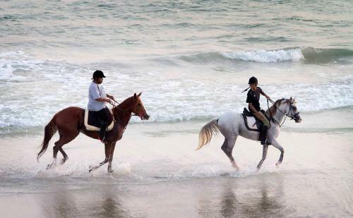 Hotel Beach Resort Salalah