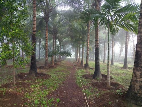 Hostal Rashmi Woods Hotel & Resort