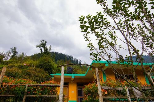 Lambhari Hills, Jibhi
