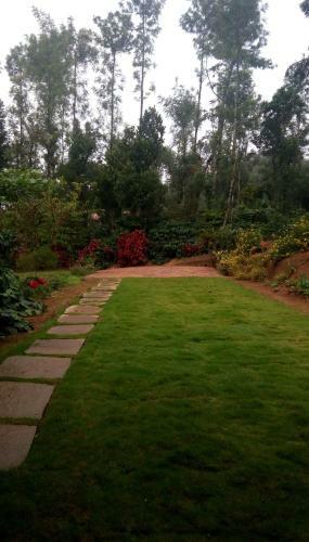 Athena Homestay