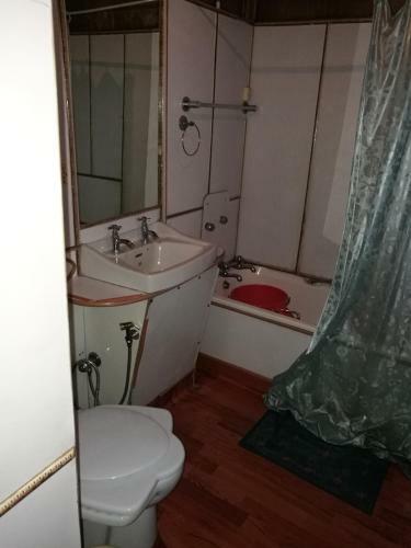 House Boat Hardy Palace