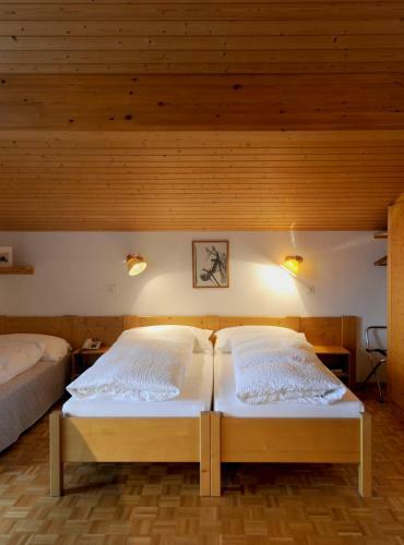 Hotel Krone Lenk