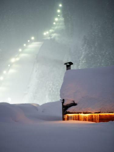 Hotel Ski Lodge Engelberg