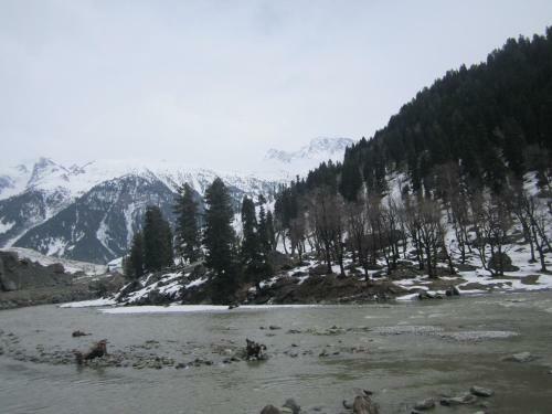 Hotel Akbar Sonamarg