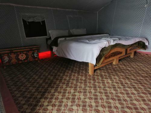 Auspicious Camp Pangong