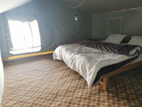 Auspicious Camp Pangong
