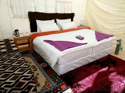 Tih The Regal Camp Pangong