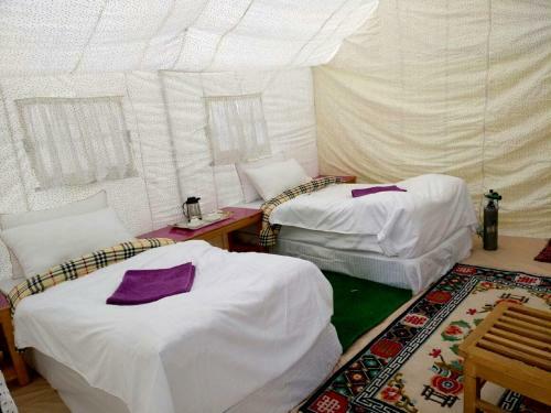 Tih The Regal Camp Pangong
