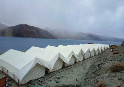 Tih The Regal Camp Pangong