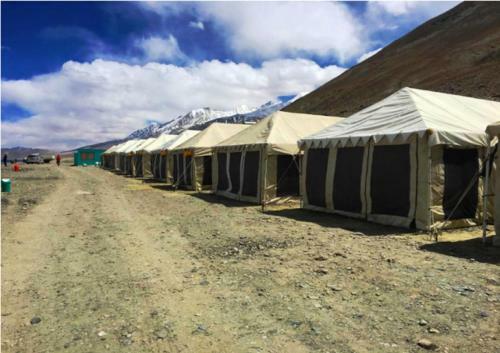 Ladakh Summer Pangong Camp