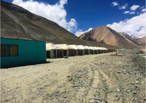 Ladakh Summer Pangong Camp