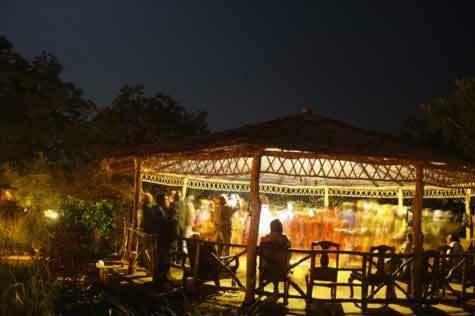 Hotel The Wildflower Resort At Bandhavgarh