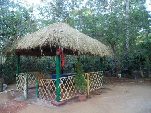 Dreams Homestay