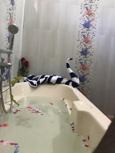 Hotel Wayanad Hilltop Holiday Home