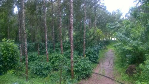 Villa Rai Cottage @ Coorg ,suntikoppa