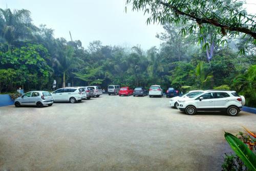 Hotel Paddington Resorts And Spa