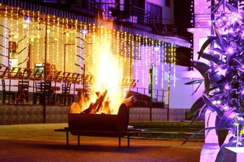 Hotel Paddington Resorts And Spa