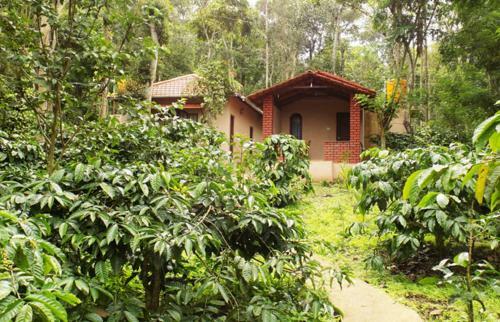 Manuvan Homestay