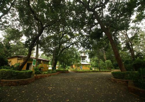 Hotel Mpt White Tiger Forest Lodge