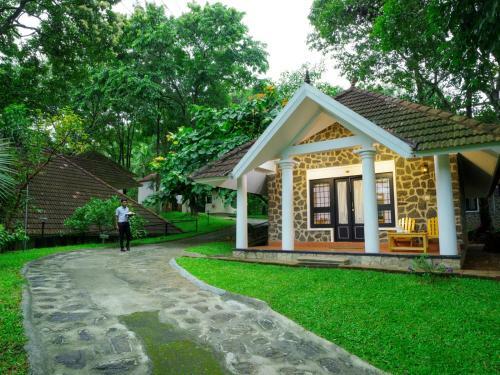Agroturismo Hotel Treetop