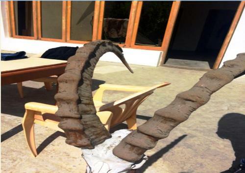 Hostal Tih A O Guest House & Home Stay