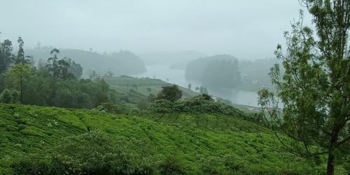 Villa Ambari Emerald - Ooty