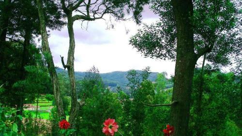 Agroturismo Orion Resort Ooty