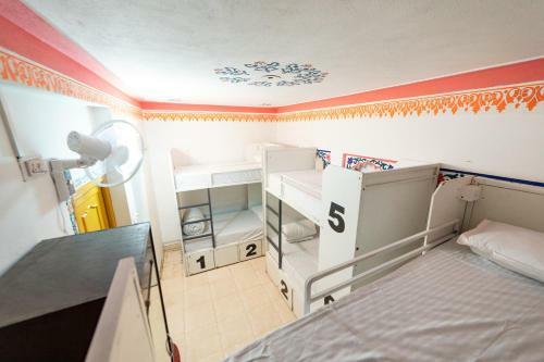 Hotel Backpacker Panda Udaipur