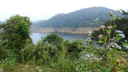 Hotel Malakkappara Dam Resort