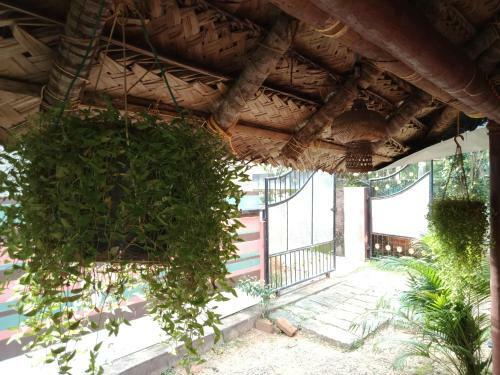 Hostal Mango Palace
