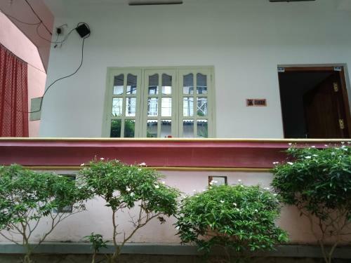 Hostal Mango Palace