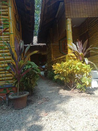 Hotel My Eco Villa