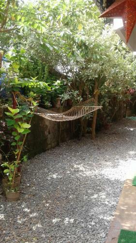 Hostal Baby House