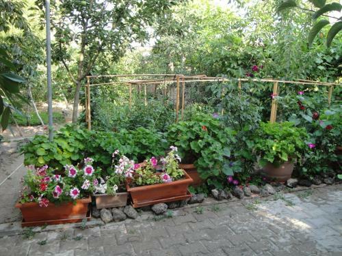 Hostal Erciyes Pension