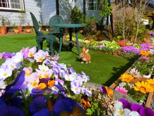 Bed & Breakfast Natural House Pure 21