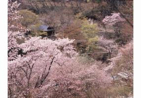 Takaragawa Onsen Ousenkaku