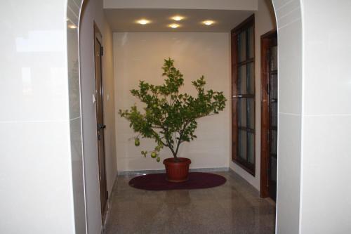 Hotel Maraya
