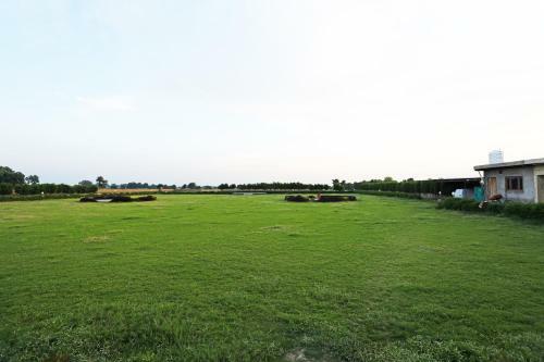 Oyo 17408 Scindia Resorts And Hotels