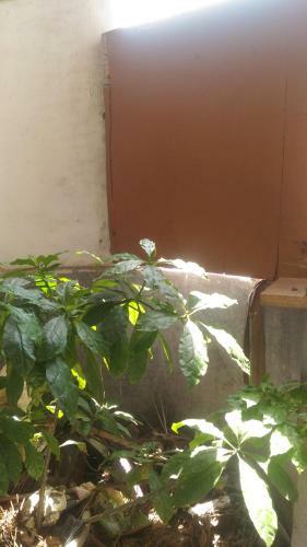 Apartamento Prakrutika