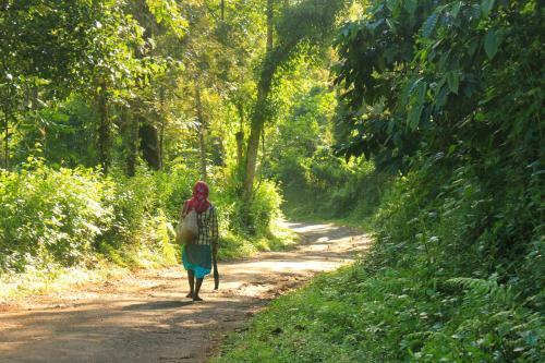 Sanjose Holiday Home Resort,virajpet