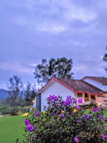 Hotel Amritara Ambatty Greens Resort