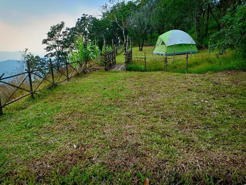 Birders Den Camps