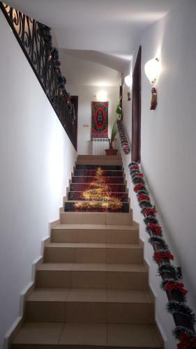 Hotel Elena